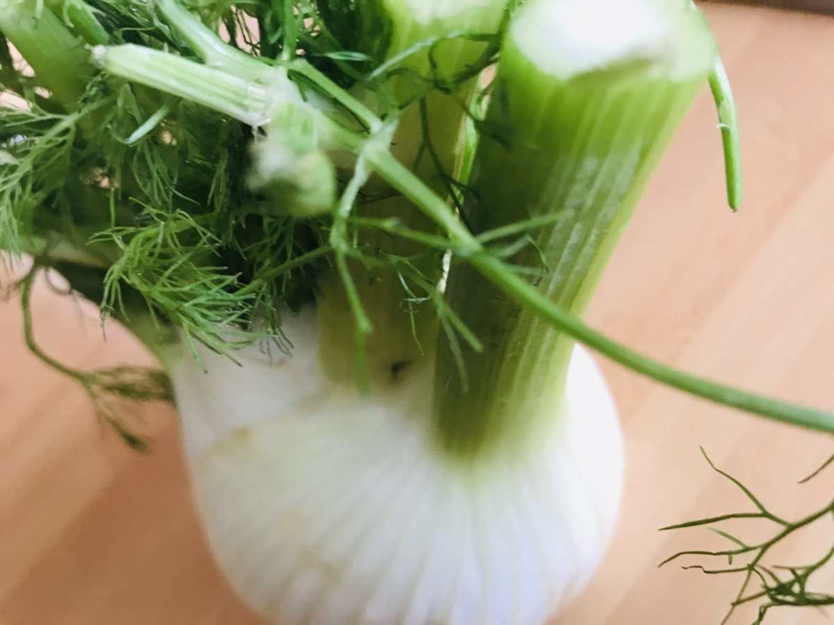 Fresh fennel.jpeg