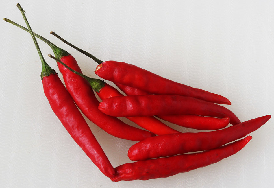 Fresh red Thai hot chillies