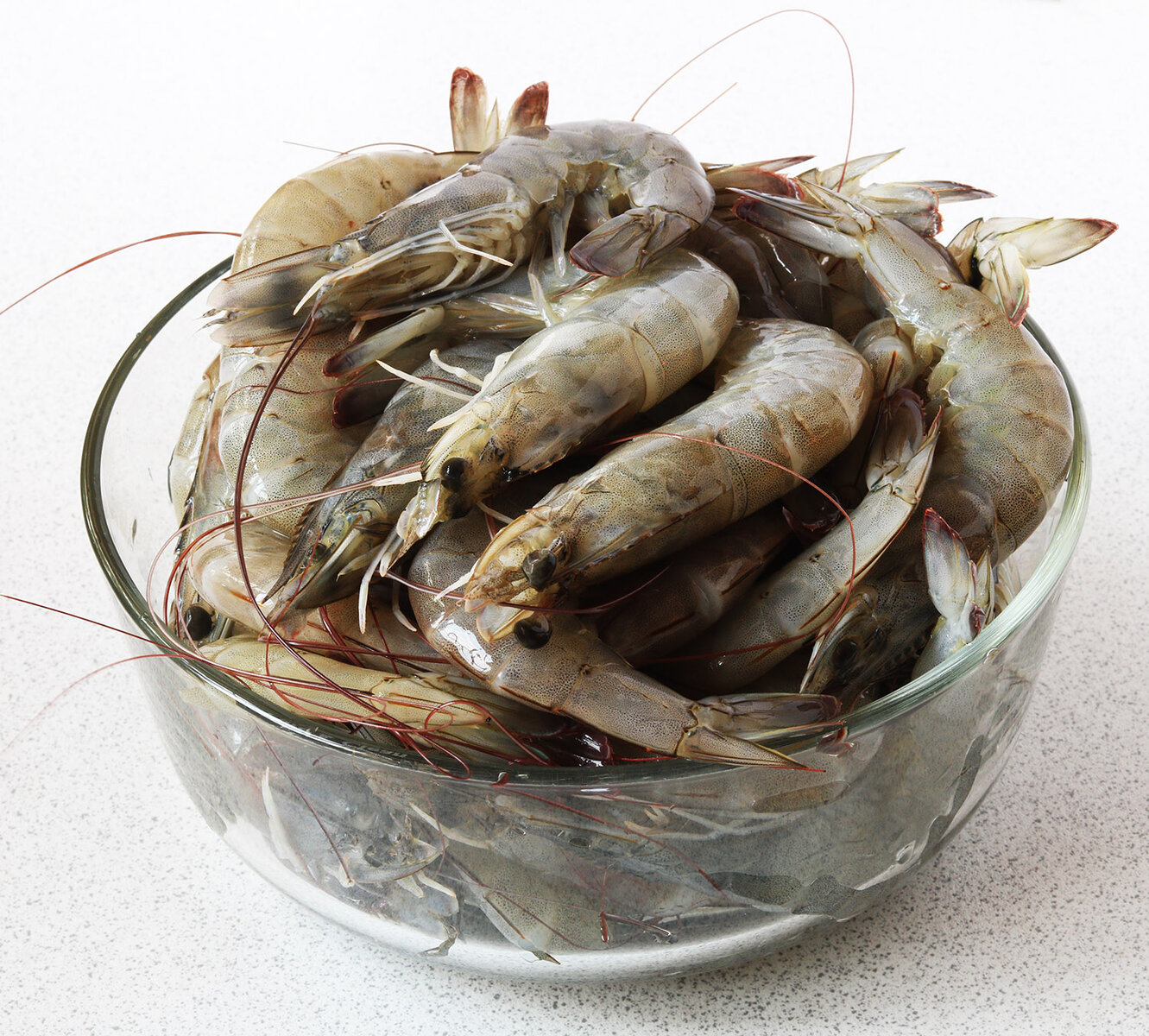 Freshwater prawns raw s.jpg