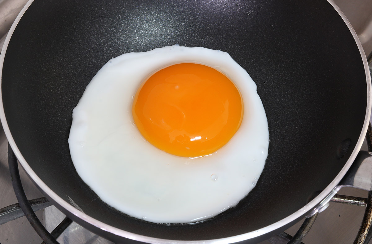 Fried duck egg s.jpg