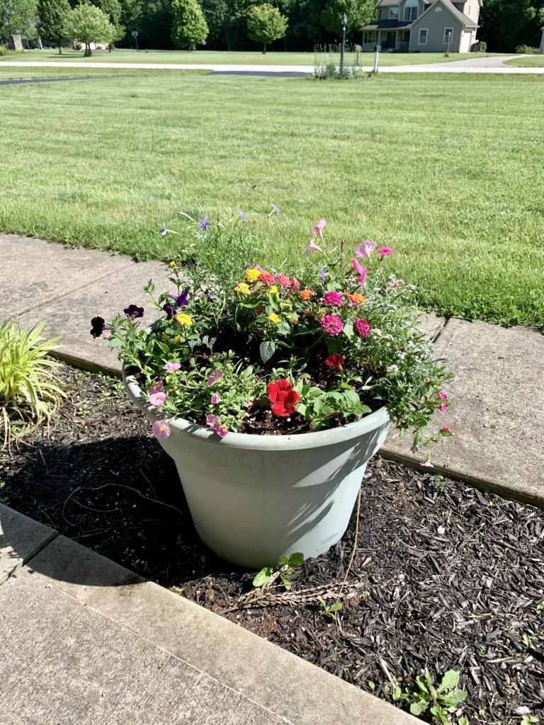 Front Planter