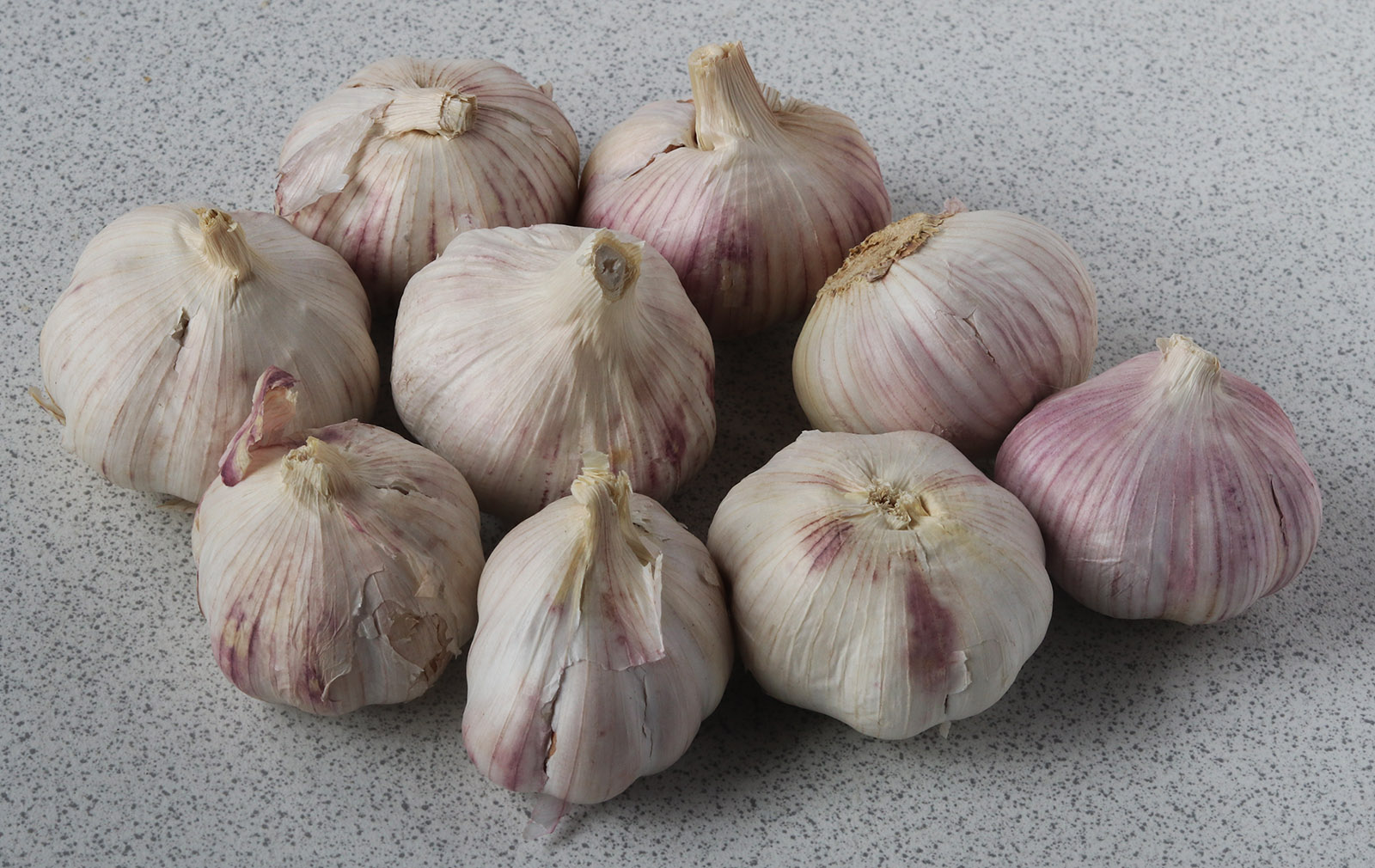 garlic loose s.jpg