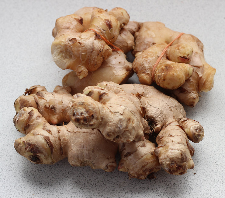 Ginger root