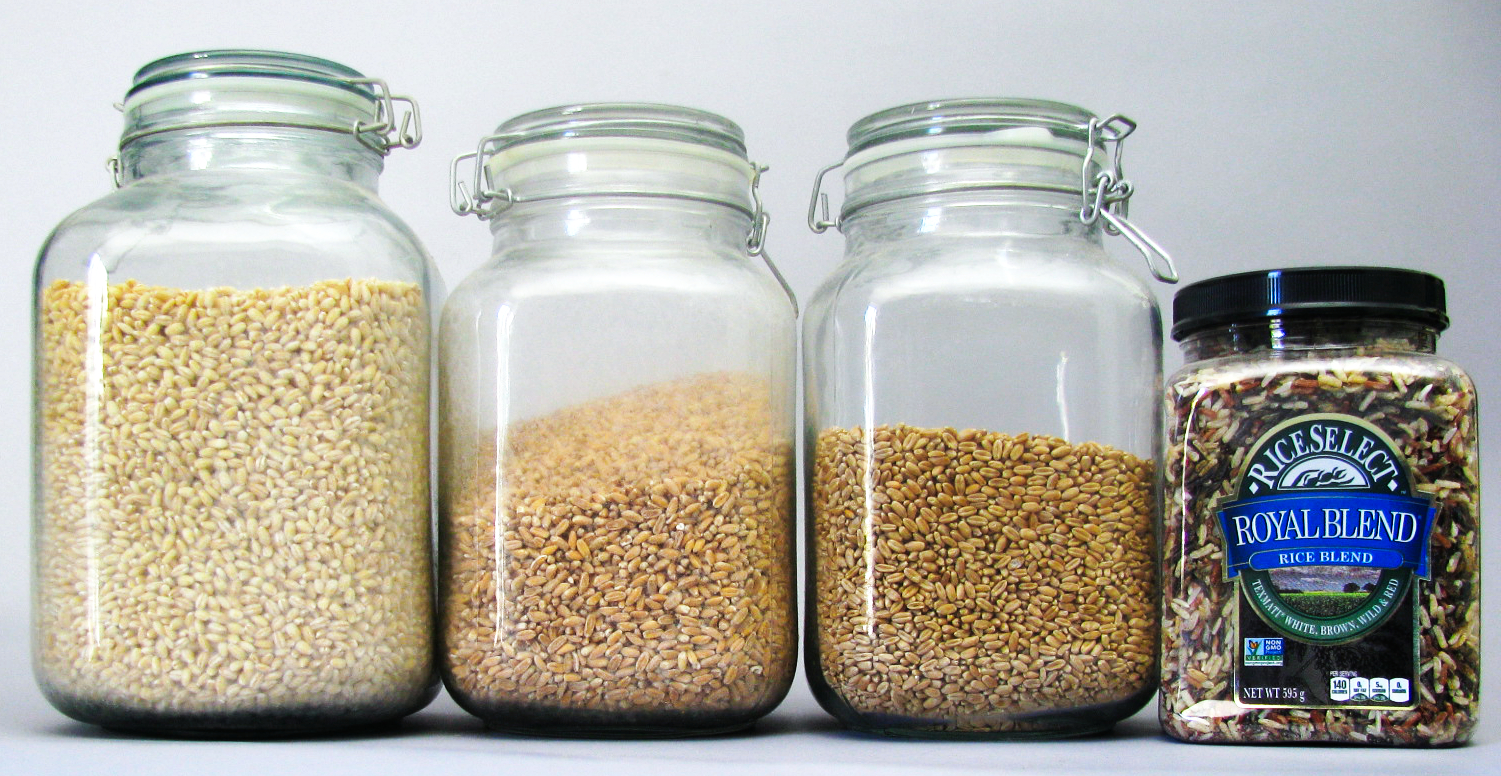Grains - Barley, Brown Rice, Farro Perlato and Rice Blend