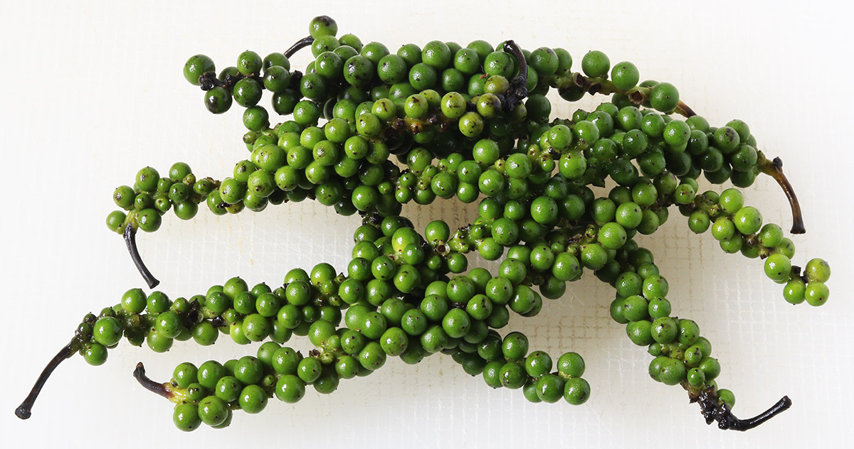 Green peppercorns 1 s.jpg