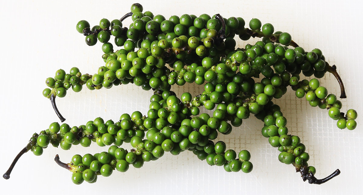 Green peppercorns 2 s.jpg