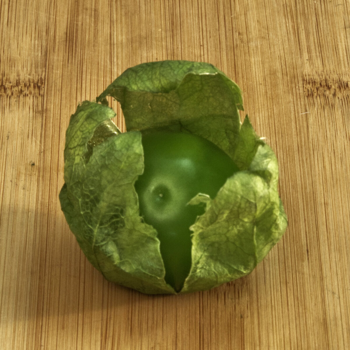 Green Tomatillo With Open Husk