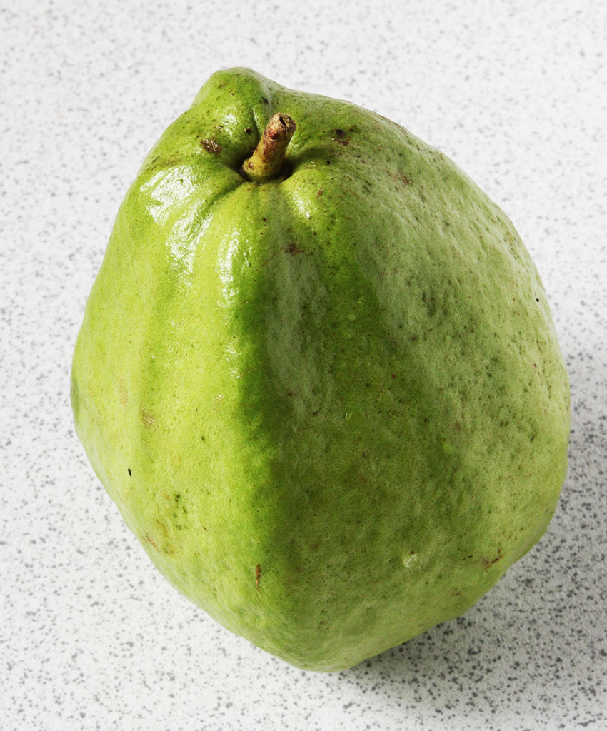 Guava s.jpg