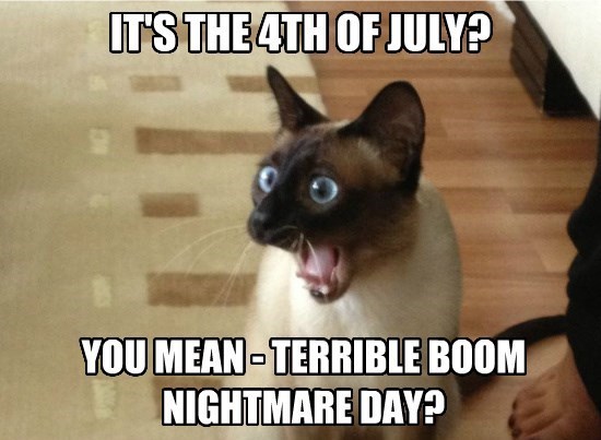 Happy July 4th!