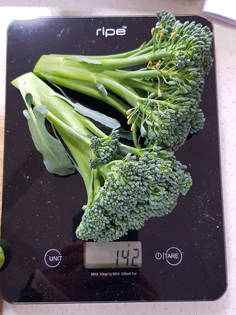 Homegrown broccoli