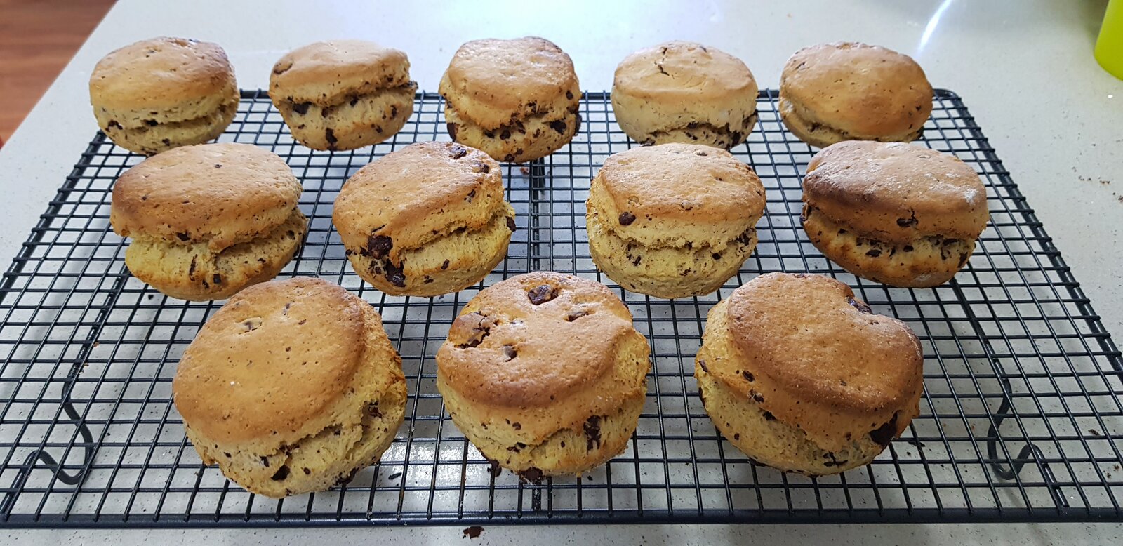 Homemade Chocolate Chip Scones