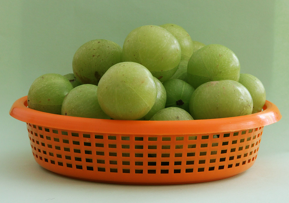 Indian gooseberry 2 s.jpg