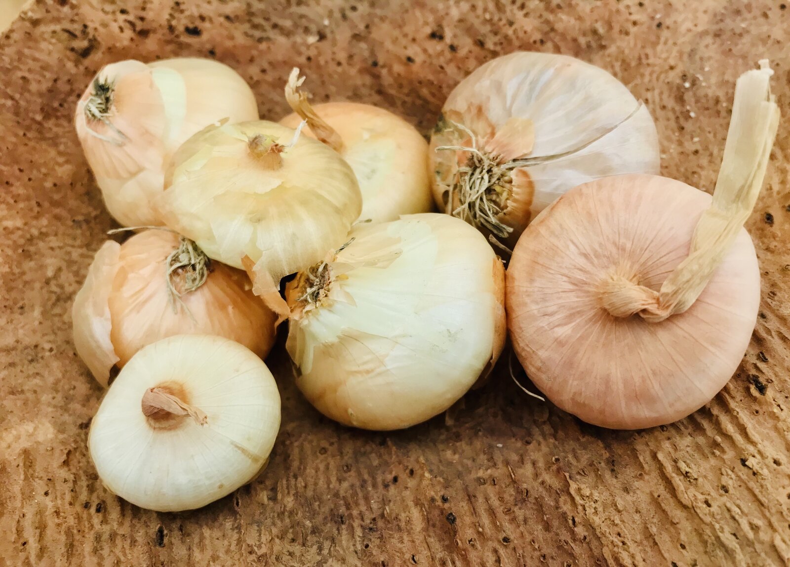 Italian Borettane Onions.jpeg