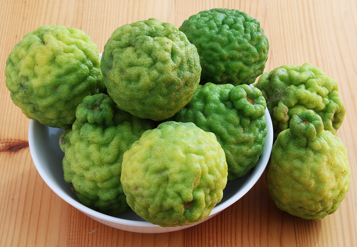 Kaffir limes 1 s.jpg