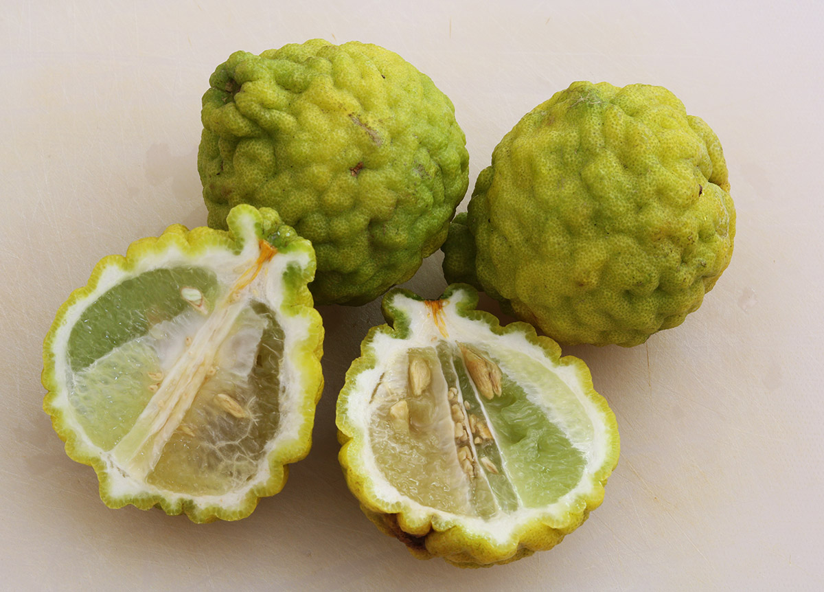 Kaffir limes 2 s.jpg