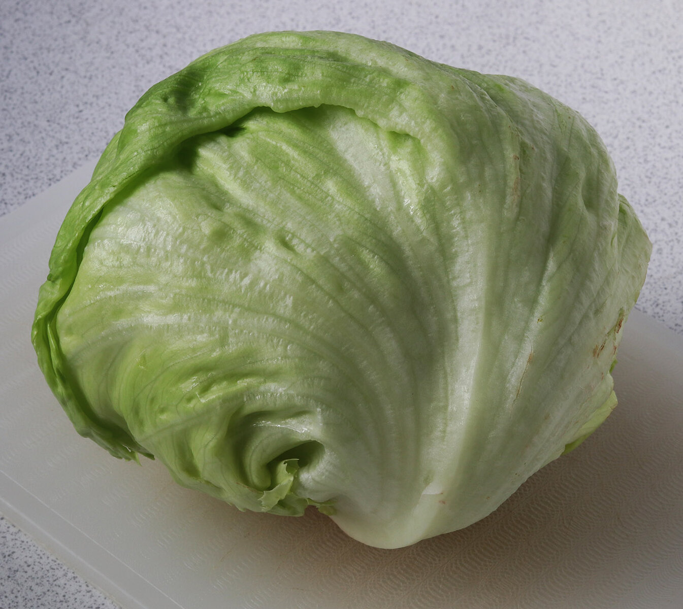 Lettuce s.jpg