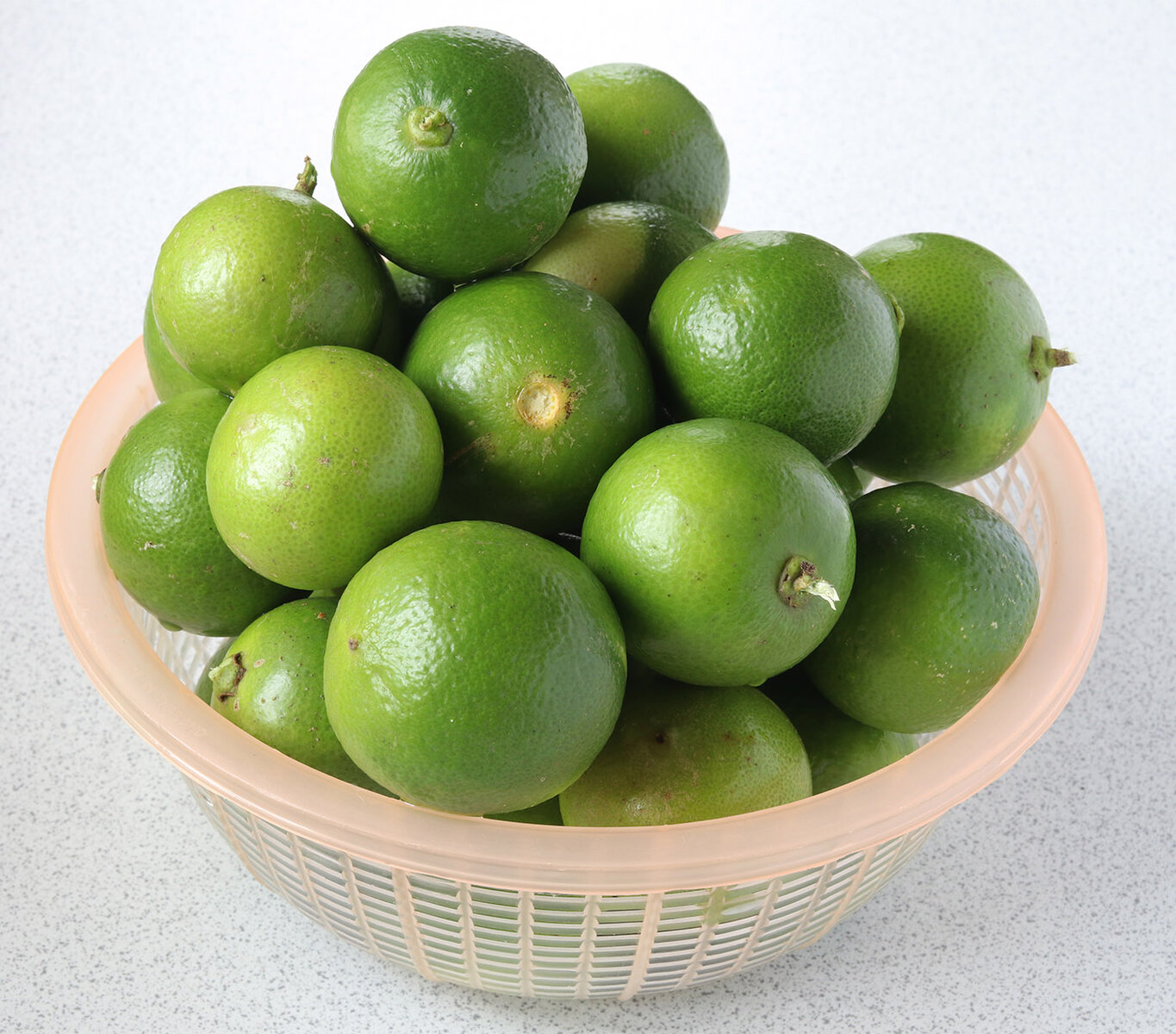 Limes s.jpg