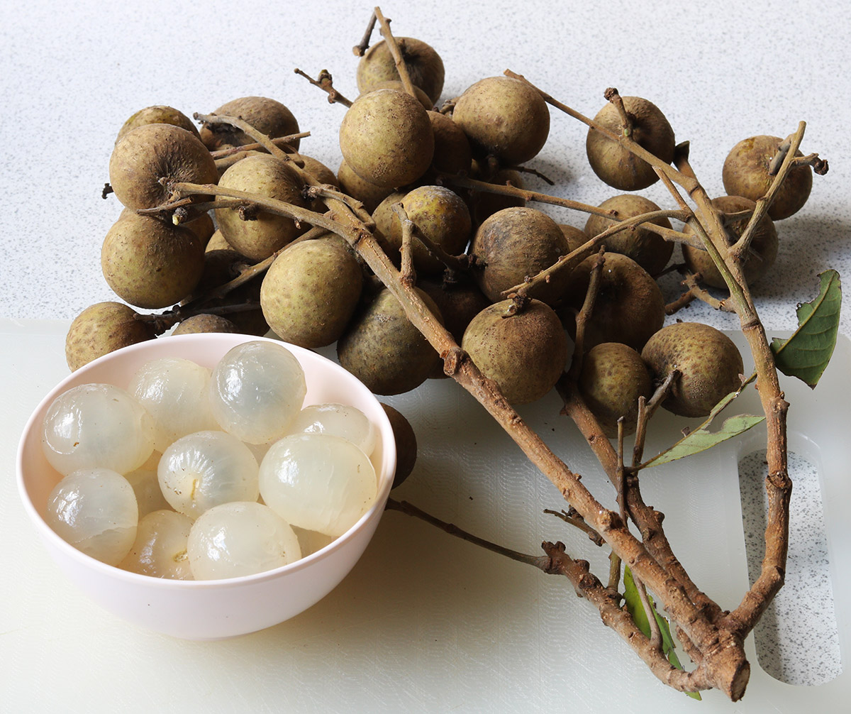 Longan 3 s.jpg