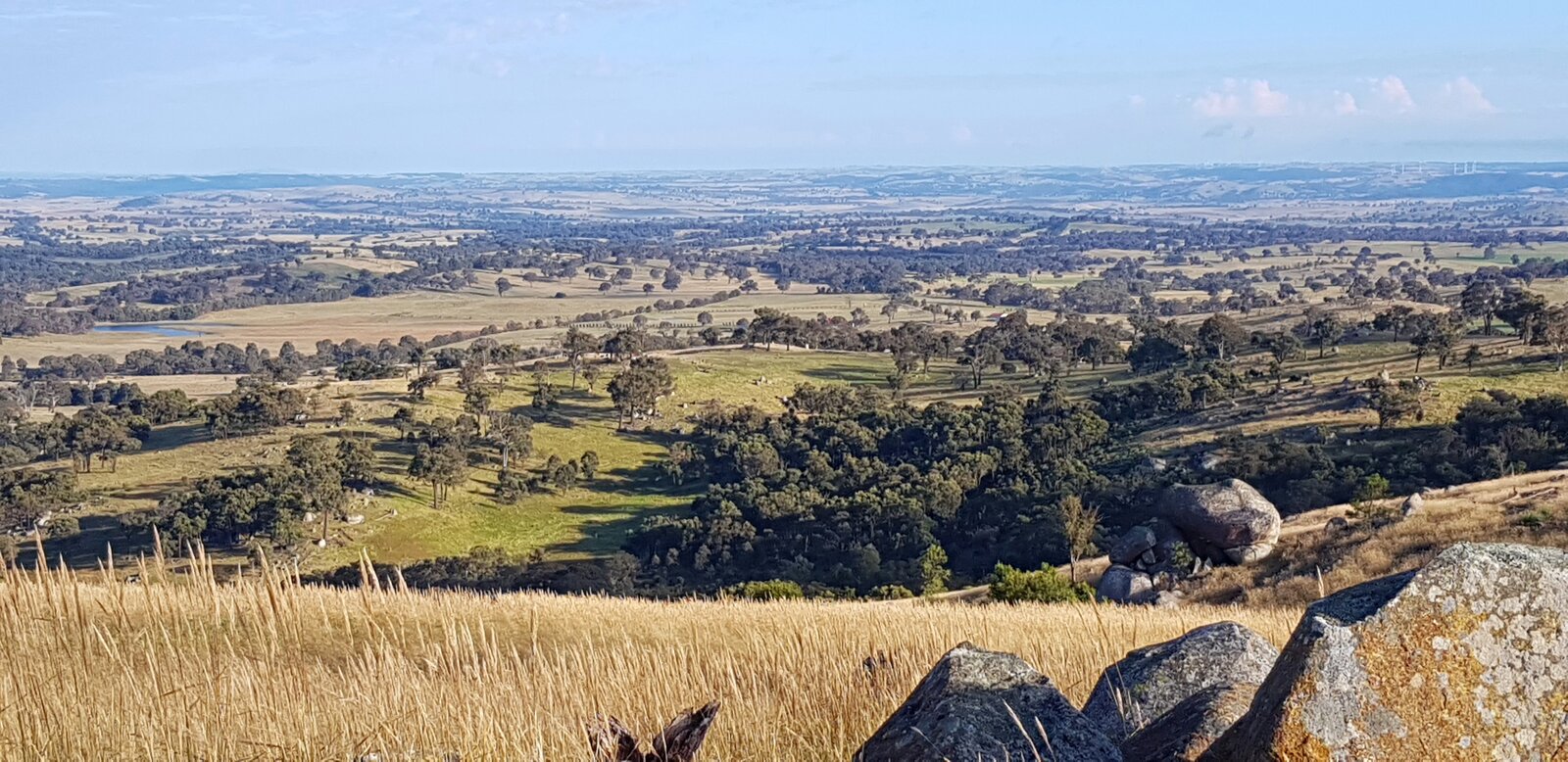 Looking North from the top