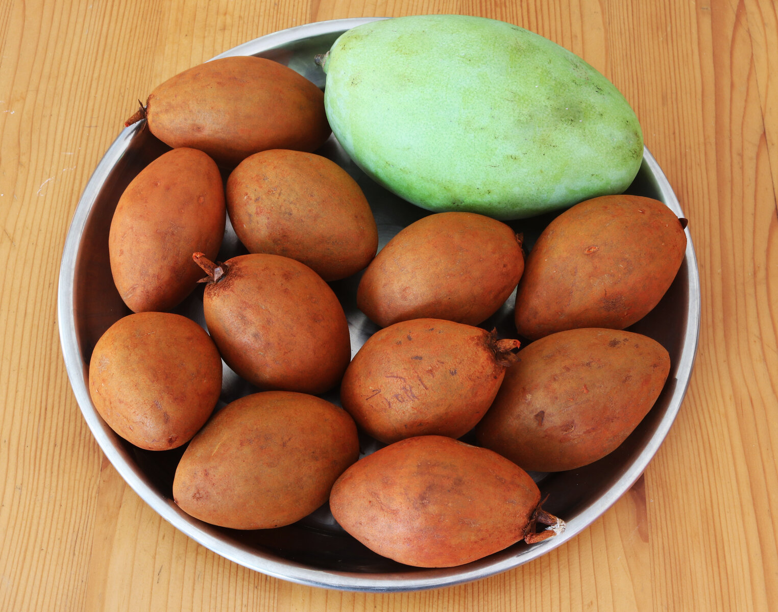 Mango-sapodilla s.jpg