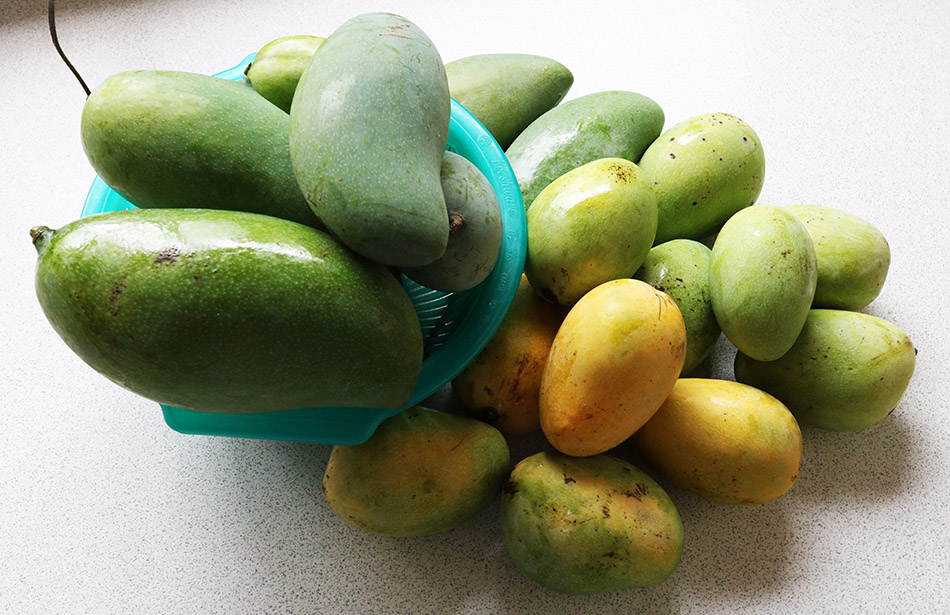 Mangoes (sweet)