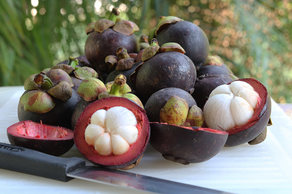 Mangosteen f9