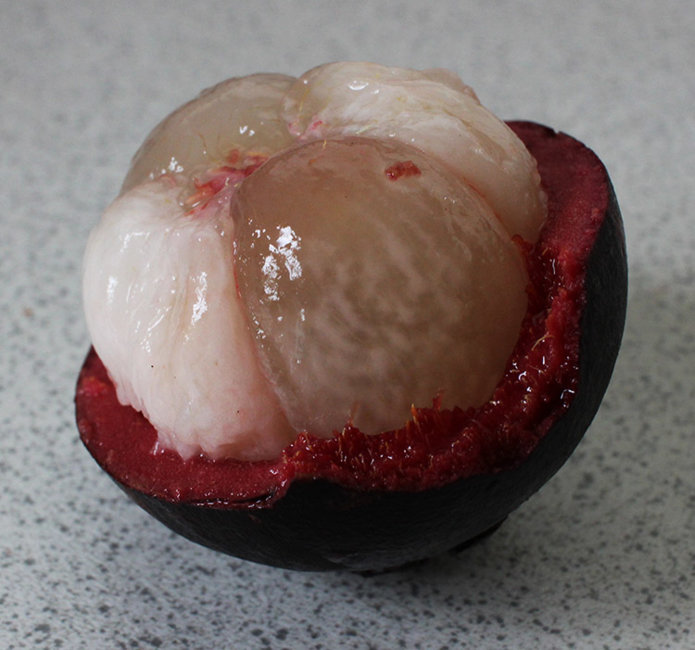 Mangosteen