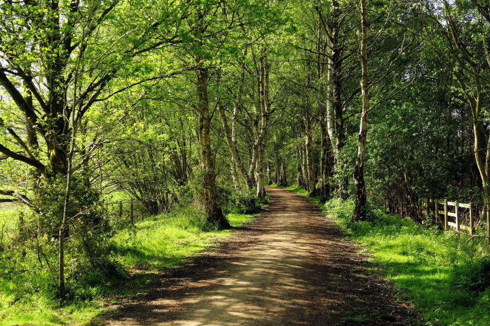 May 2017 - Spring Colours, Whitegate Way, Cheshire