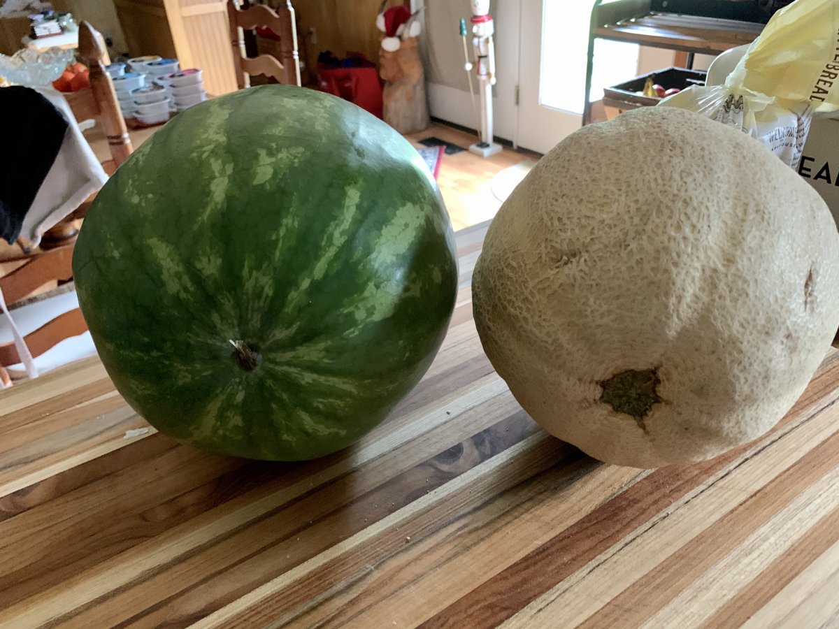 Melons!