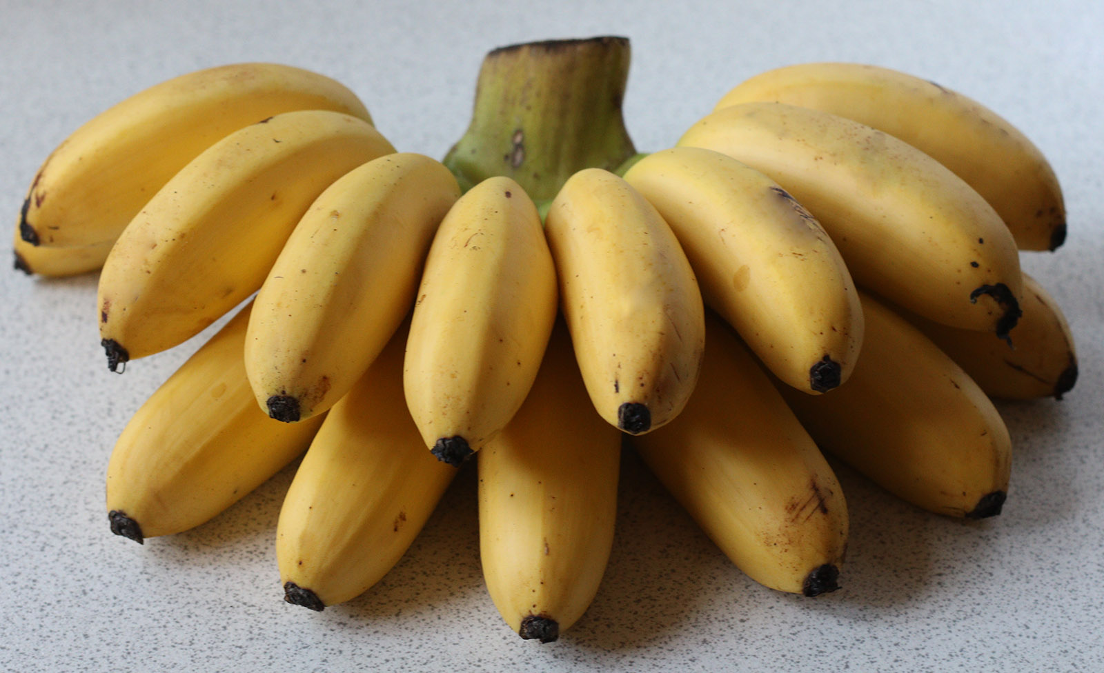 Mini bananas s.jpg