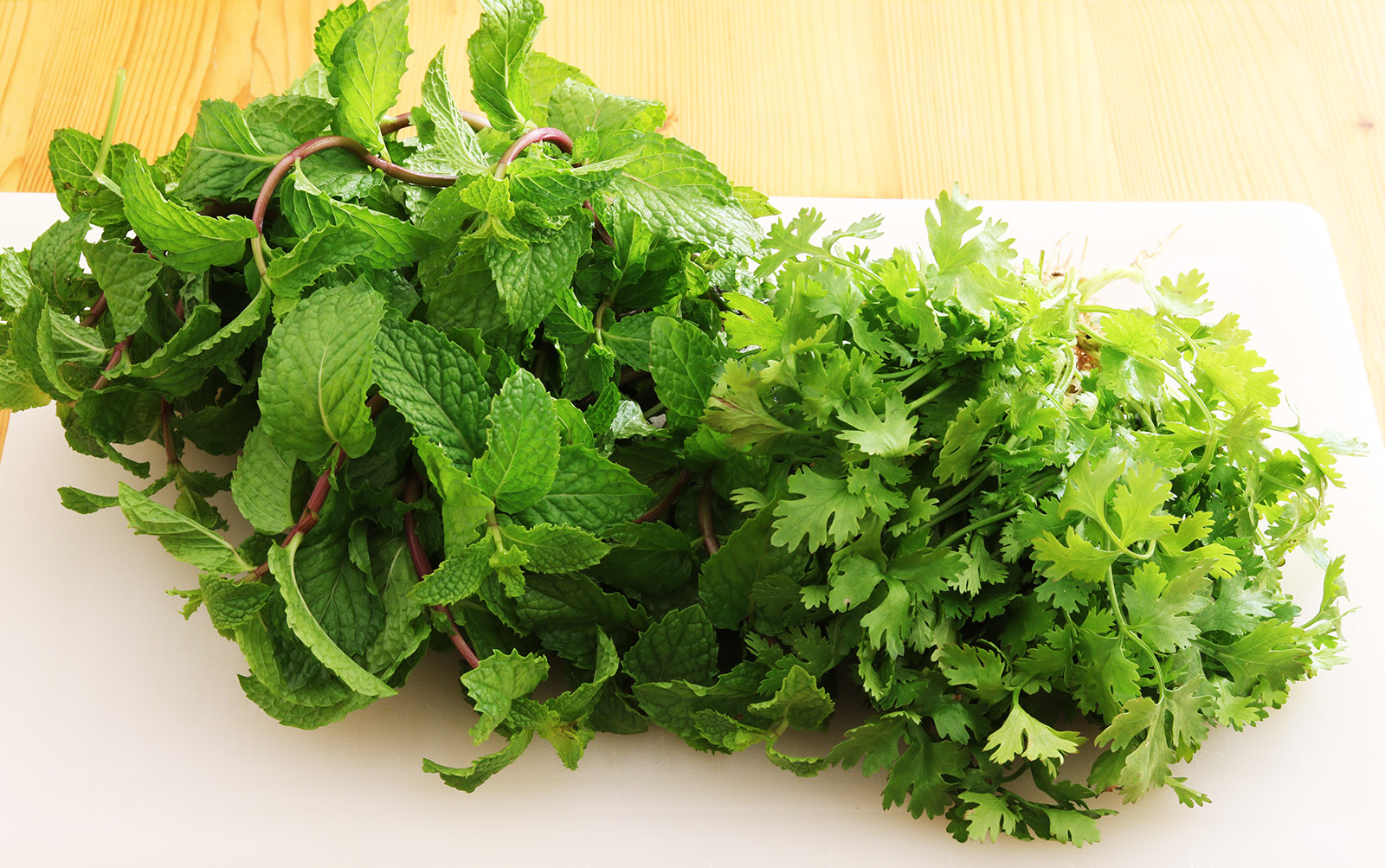 Mint and coriander s.jpg