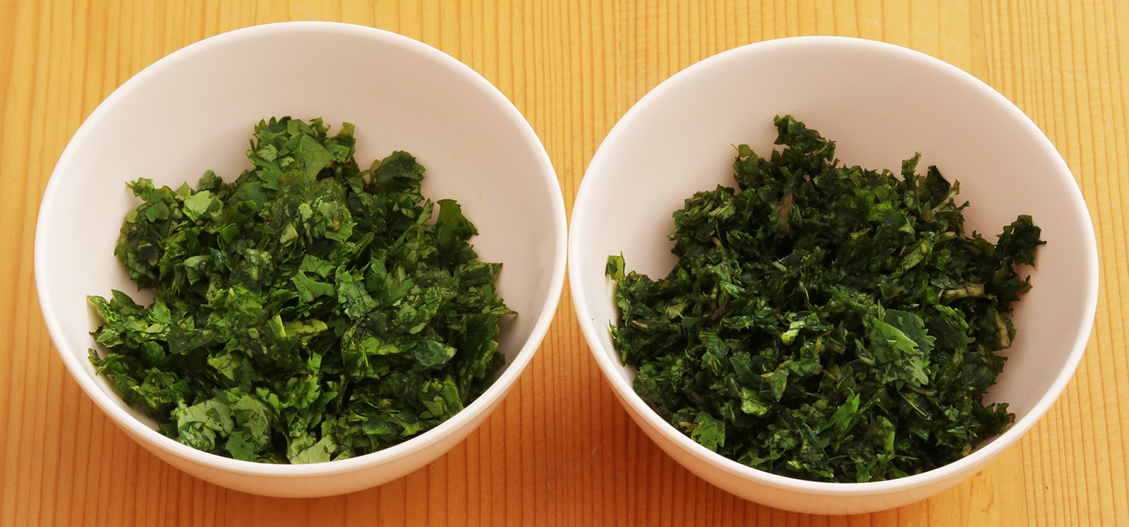 Mint and coriander s.jpg