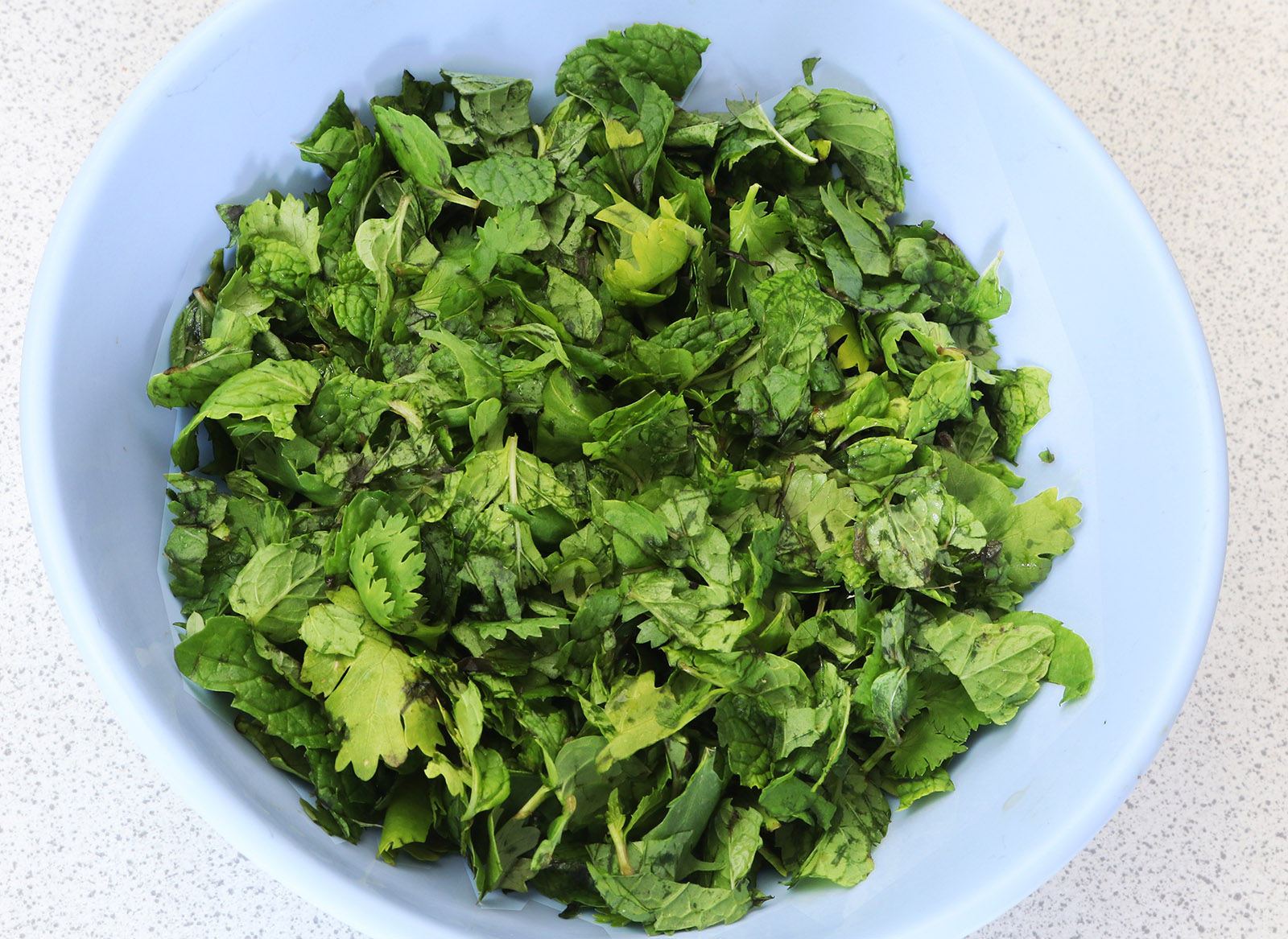 Mint-coriander s.jpg