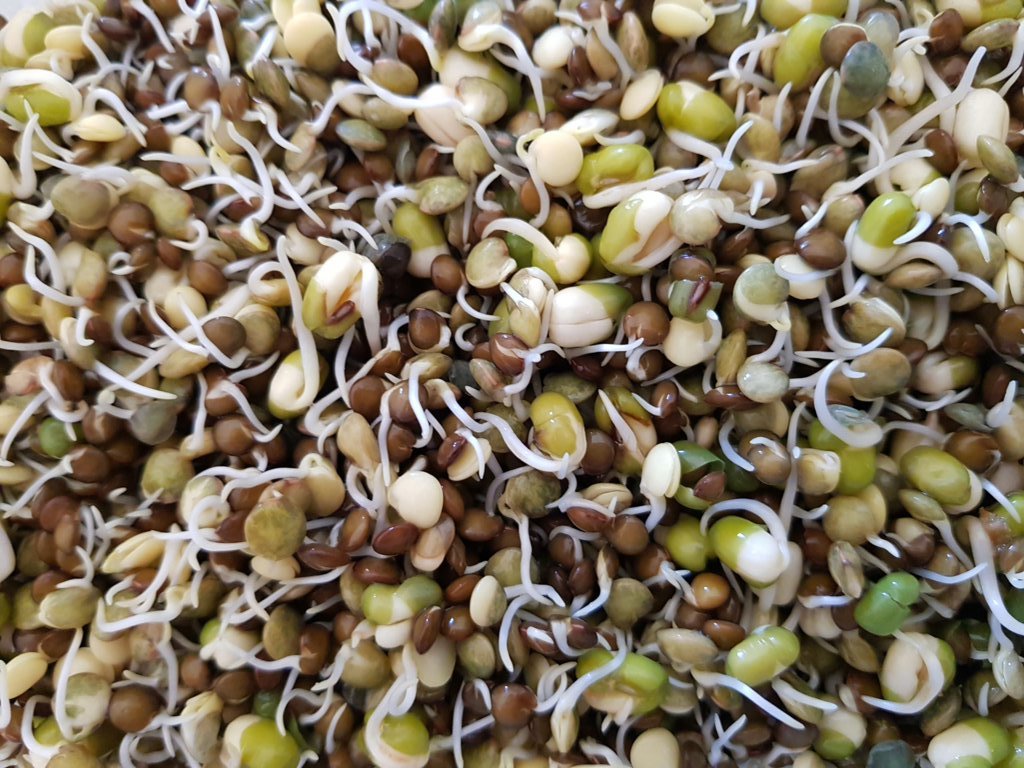 Mixed lentils and mung beans