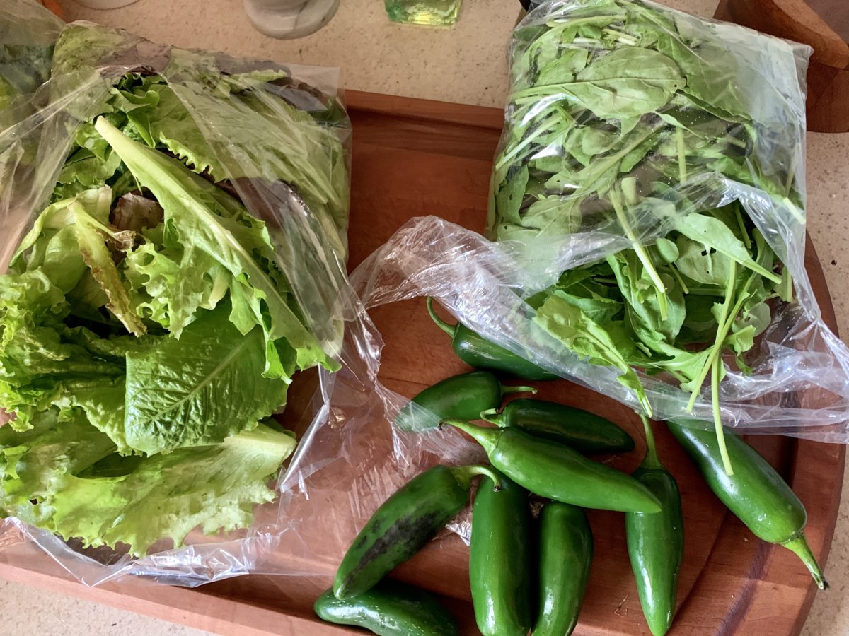 Mixed Lettuce, Arugula, Jalapeños