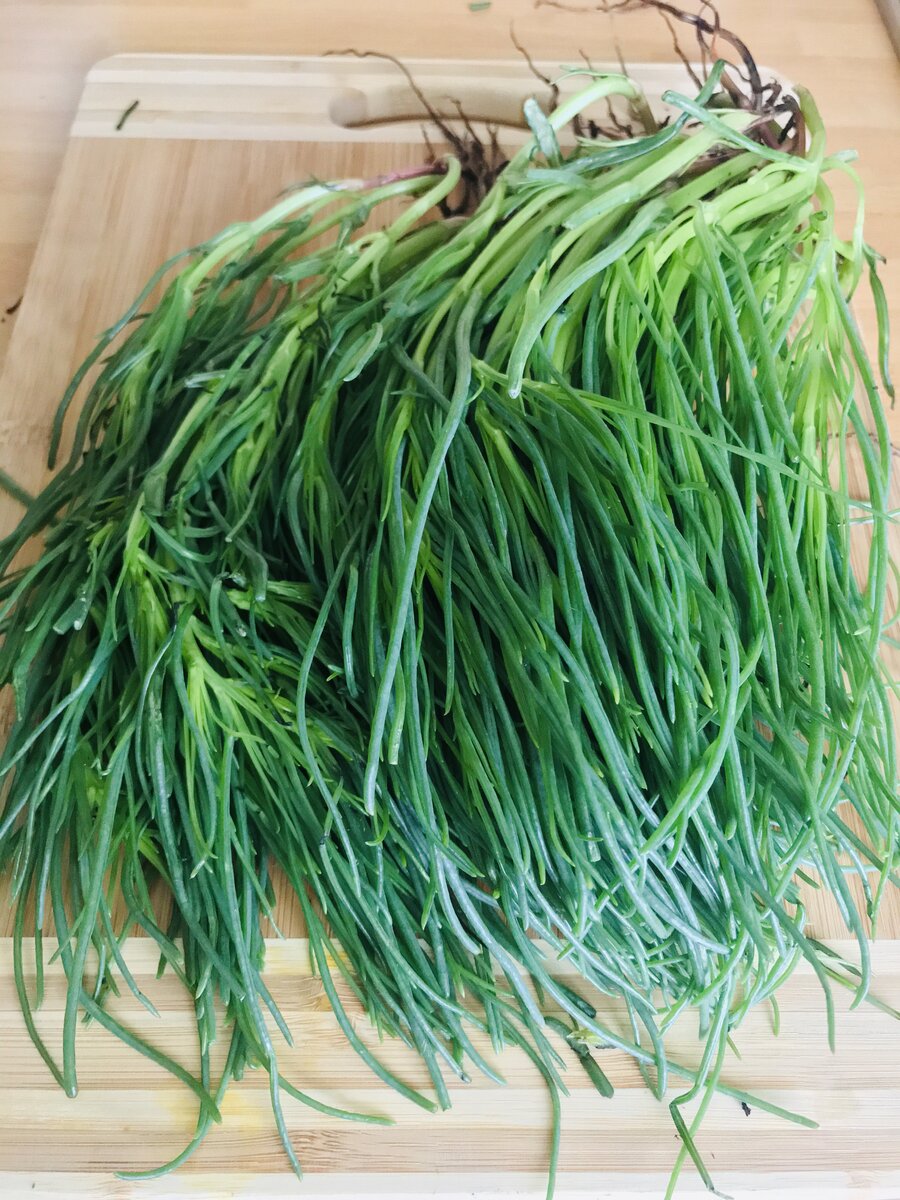 Monk’s Beard.jpeg