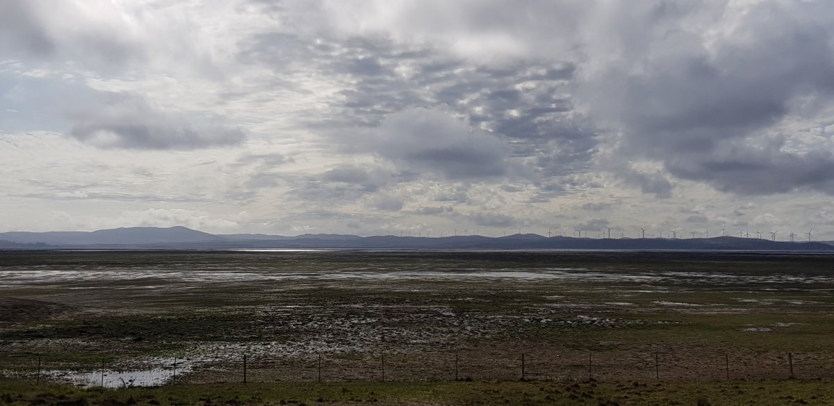 Morecambe Bay?