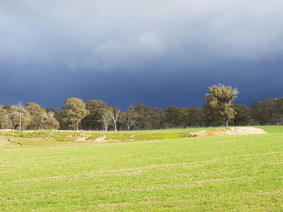 Much needed rain, elsewhere!