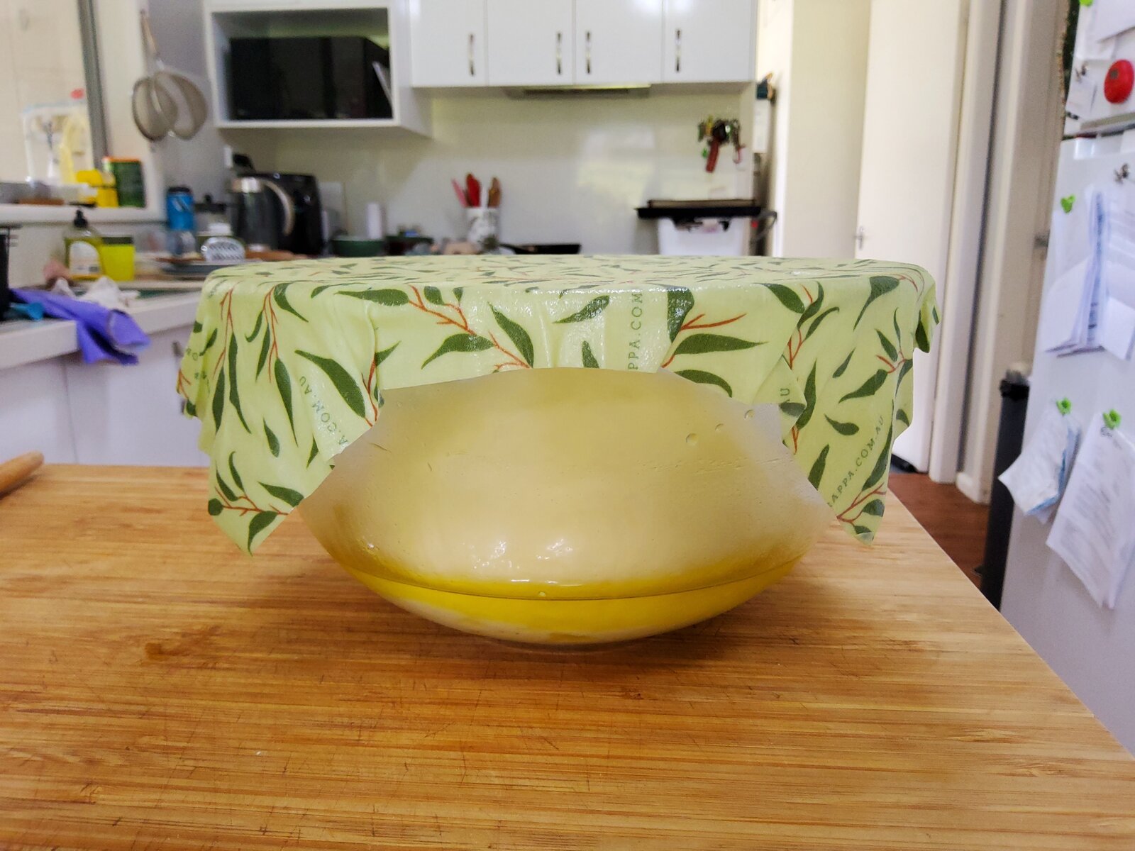 Olive oil dough ready to rise