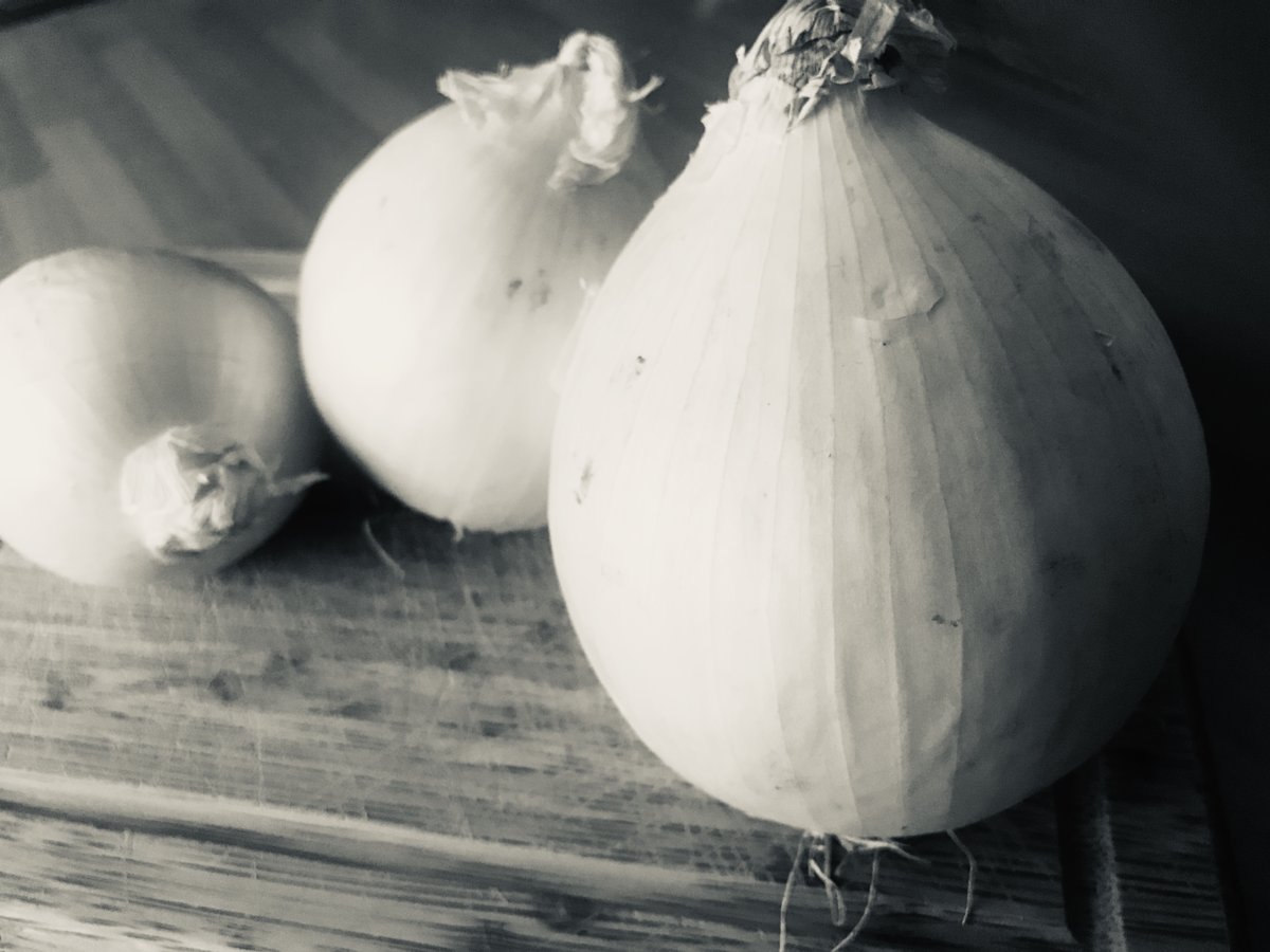 Onions family b/w.jpeg
