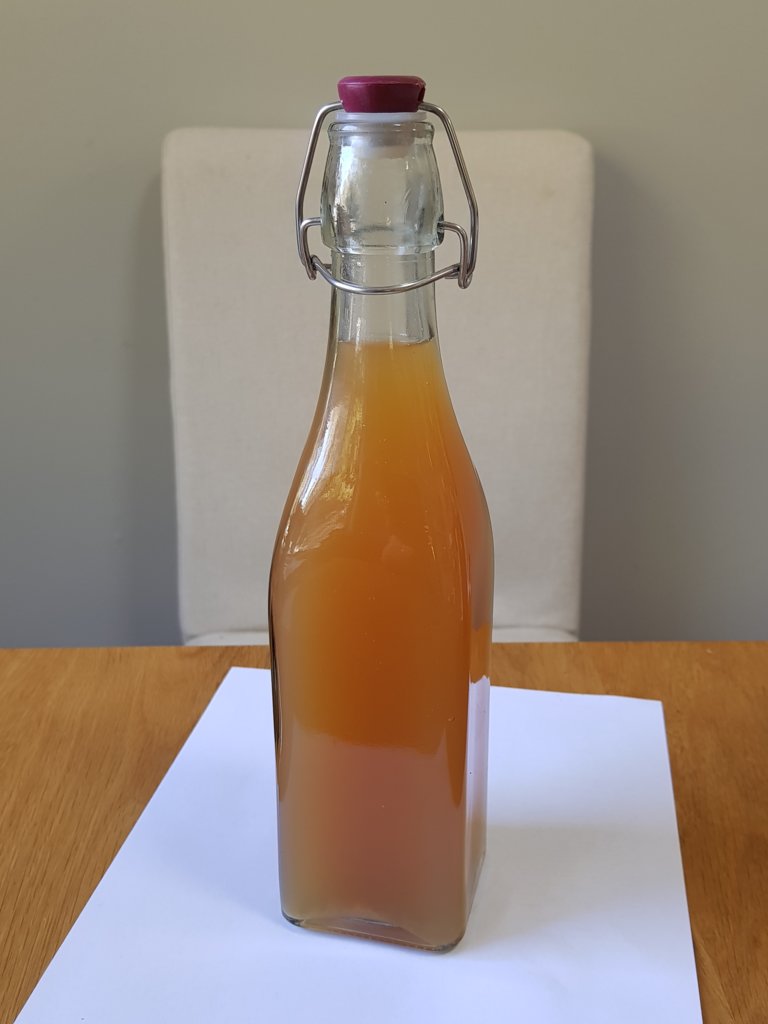 Orange and Lemon Water Kefir