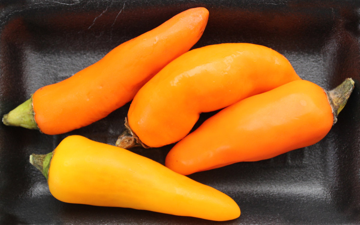 orange chilies-s.jpg