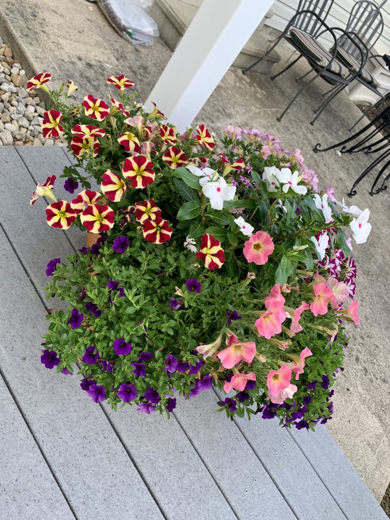 Orange Planter