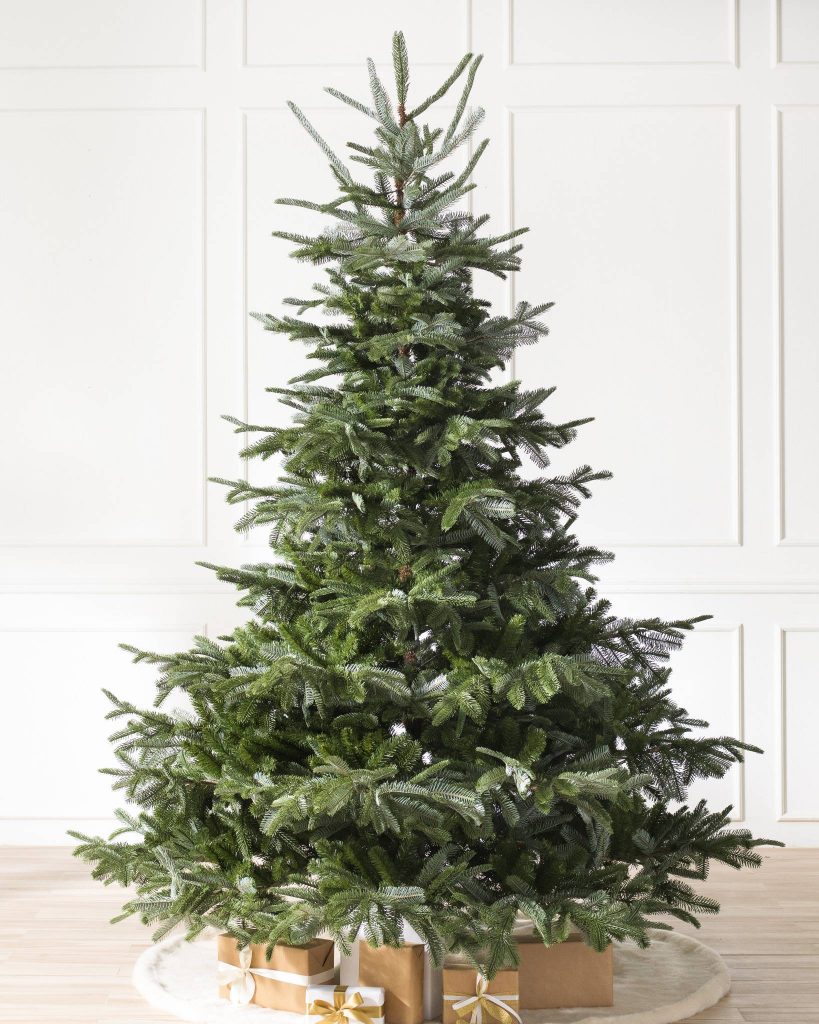 Our Tree 2020