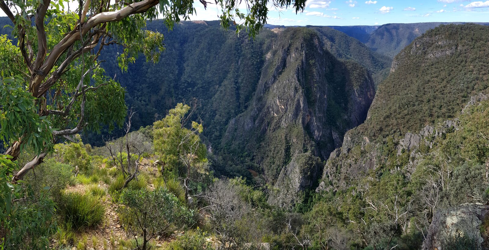 Panorama at Bungonia National Park