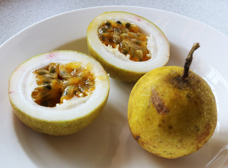 Passion fruit