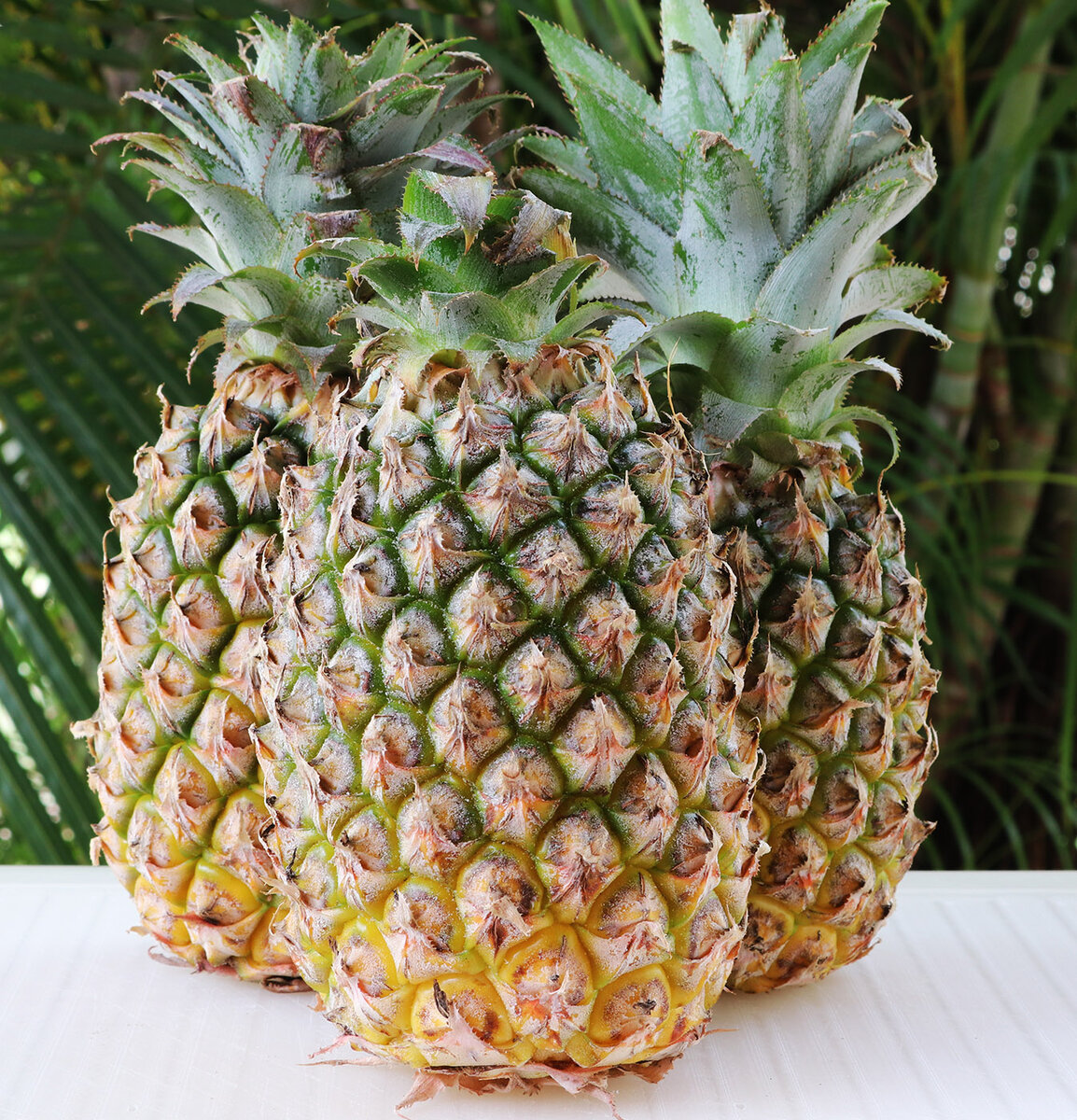 Pineapple s.jpg