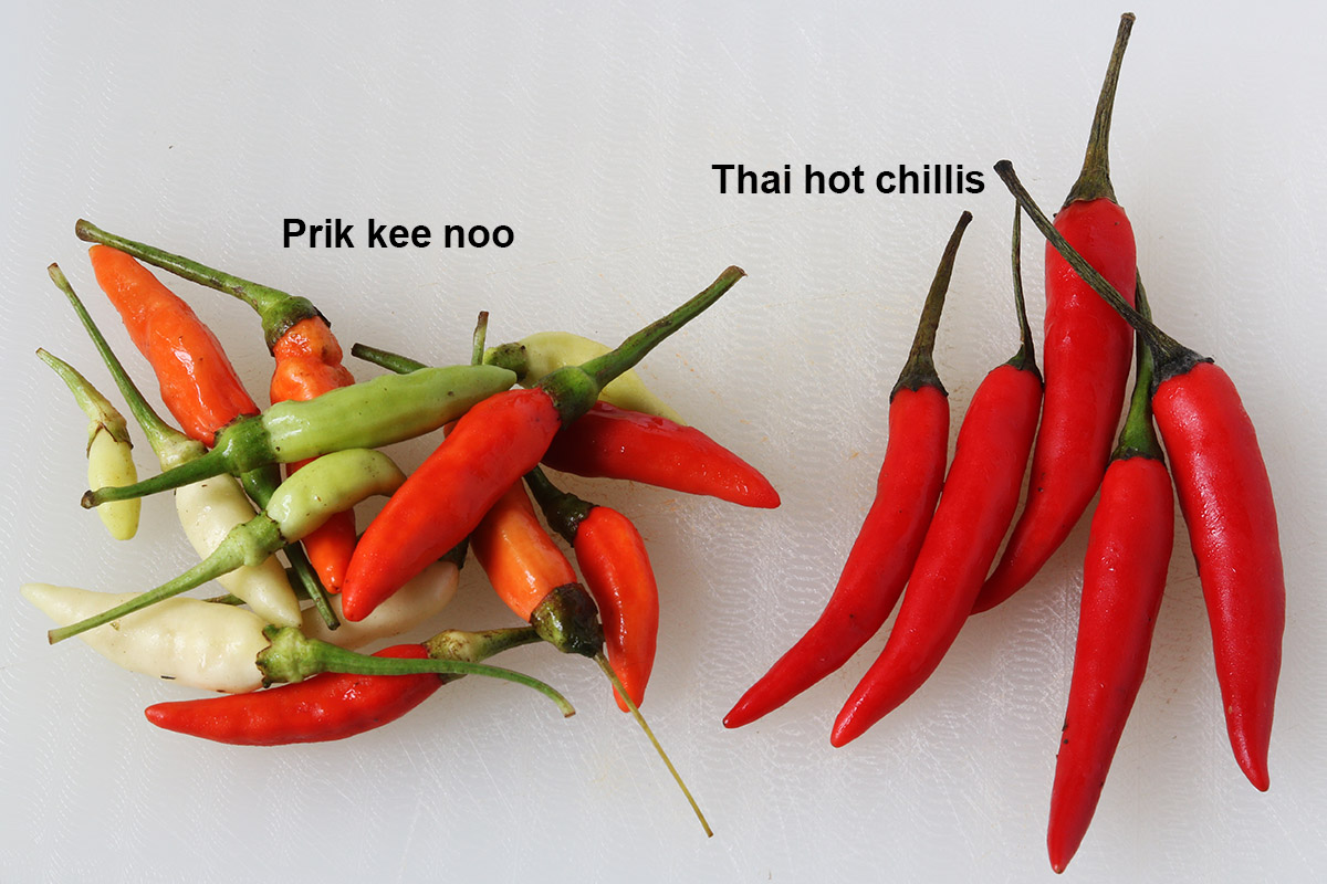 Prikeenoo-Thaihot s.jpg