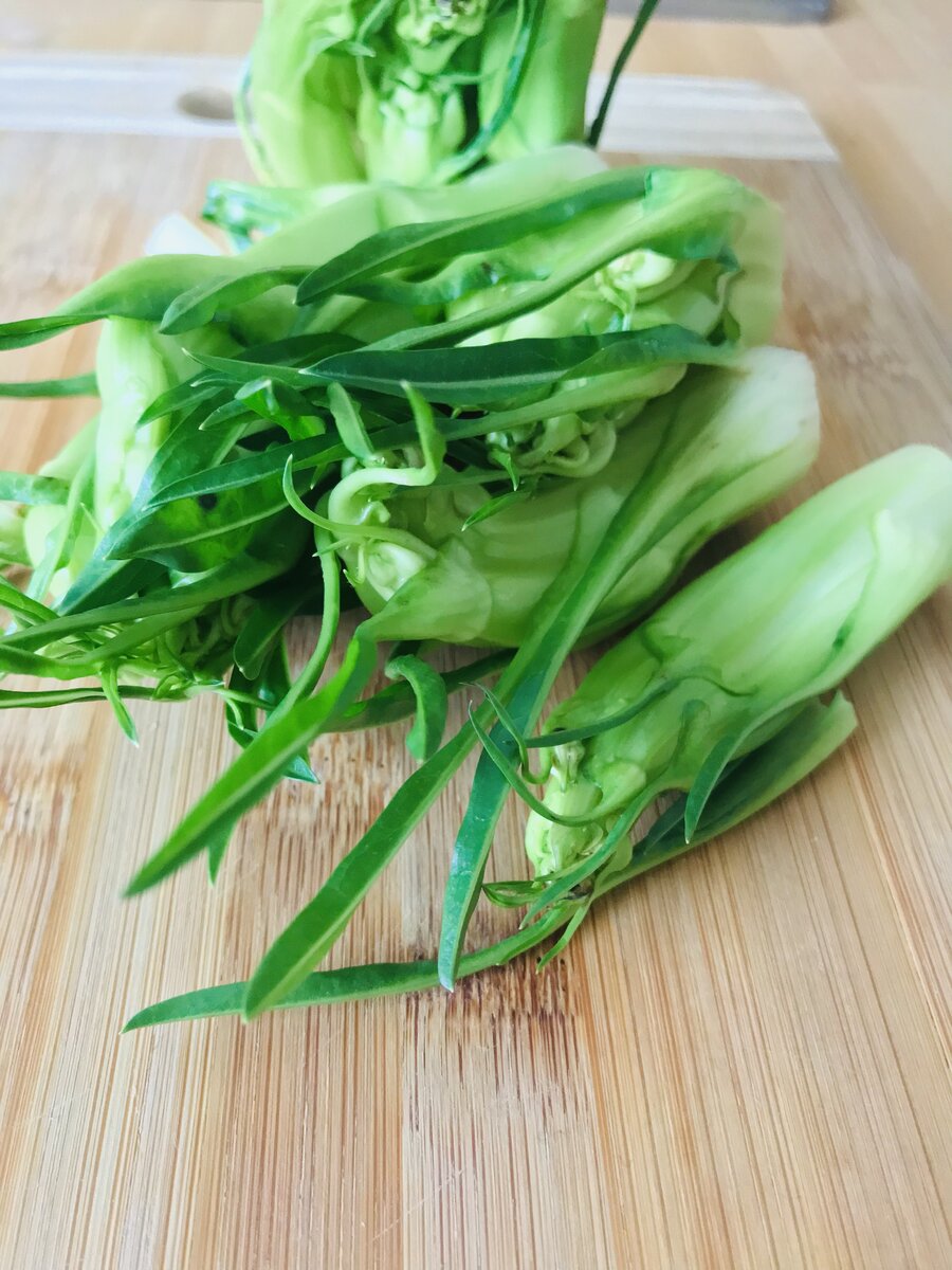 Puntarelle.jpeg