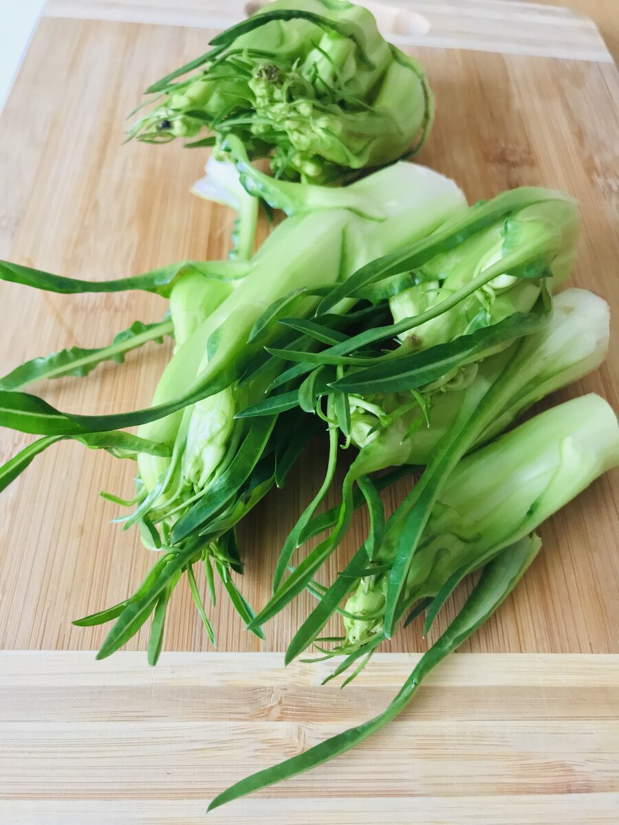 Puntarelle.jpeg